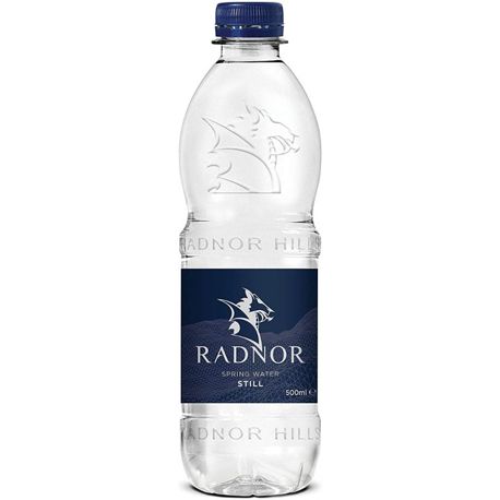 Radnor Hills Still Screw Cap Natural Spring Water (500ml)