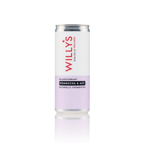 Willy's Blackcurrant Kombucha & ACV (250ml)